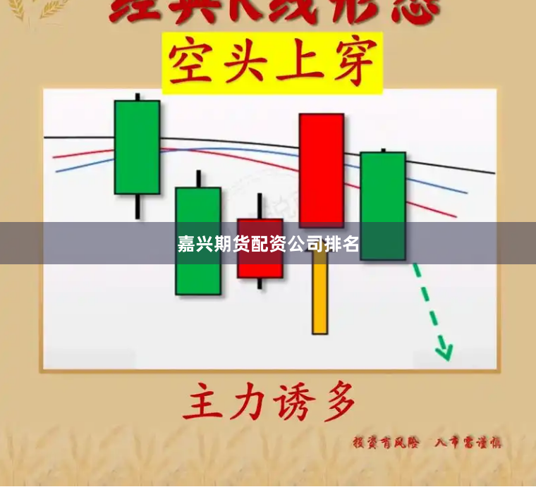嘉兴期货配资公司排名